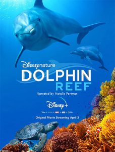 دانلود مستند Dolphin Reef 2020