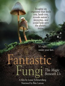 دانلود مستند Fantastic Fungi 2019