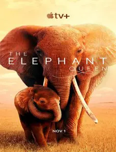 مستند The Elephant Queen 2019