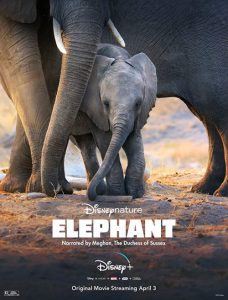 مستند Elephant 2020