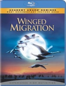 دانلود مستند Winged Migration 2001