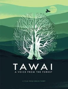 مستند Tawai A Voice From The Forest 2017