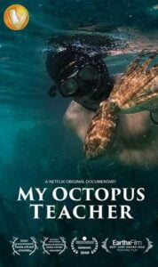 دانلود مستند معلم اختاپوس من My Octopus Teacher 2020