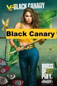 دانلود فیلم بلک کنیری Black Canary 2022