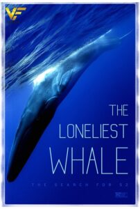 دانلود مستند تنهاترین نهنگ The Loneliest Whale 2021