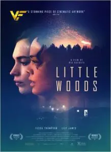 دانلود فیلم جنگل کوچک Little Woods 2018 دوبله فارسی