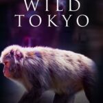 دانلود مستند توکیو وحشی Wild Tokyo 2020