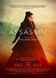 دانلود فیلم قاتل The Assassin 2015