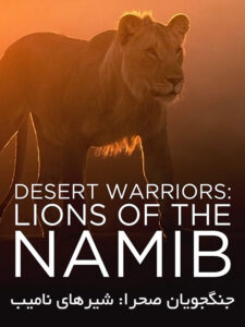 Desert-Warriors-Lions-of-the-Namib-2016