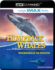 Humpback-Whales-2015