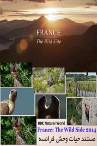 BBC-Natural-World-France-The-Wild-Side-2014