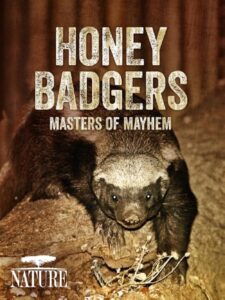 Honey Badgers Masters of Mayhem 2014