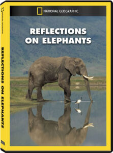 دانلود مستند فیل ها Reflections On Elephants 1994 دوبله فارسی