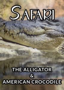 Safari-The-Alligator-and-American-Crocodile-1996