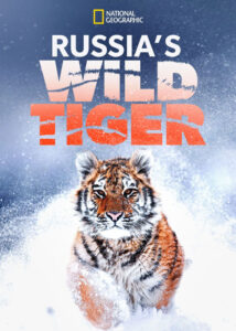 Russias-Wild-Tiger-2022