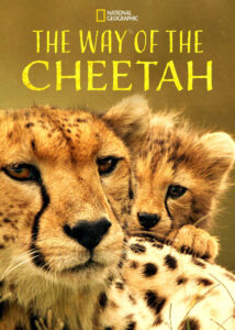 The-Way-of-the-Cheetah-2022