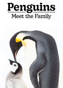 Penguins-Meet-the-Family-2020