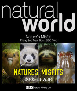 BBC Natural World Nature’s Misfits