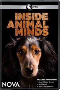Inside Animal Minds Who’s the Smartest 2014