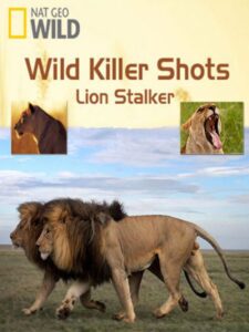 Wild Killer Shots Lion Stalker 2013