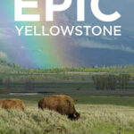 Epic-Yellowstone-2019
