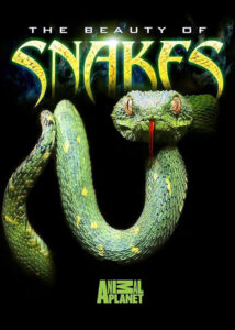 دانلود مستند زیبایی مارها Beauty of Snakes 2003