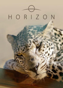 Horizon-2024