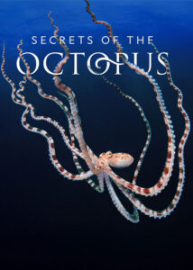 دانلود مستند اسرار اختاپوس Secrets of the Octopus 2024