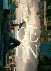 دانلود فیلم ترکی کبوتر The Pigeon 2018