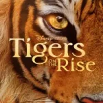 دانلود مستند ببرهای در حال ظهور Tigers on the Rise 2024