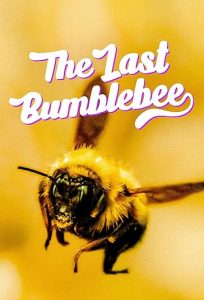 مستند آخرین زنبور عسل The Last Bumblebee 2024