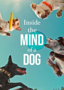 دانلود مستند درون ذهن یک سگ Inside the Mind of a Dog 2024