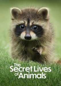 The-Secret-Lives-of-Animals-2024