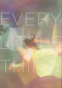 دانلود مستند تک‌تک چیزهای کوچک Every Little Thing 2024