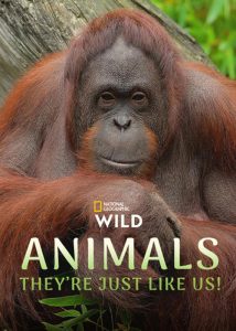 دانلود مستند حیوانات، کاملا شبیه ما هستند Animals They’re Just Like Us 2025