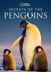 دانلود مستند اسرار پنگوئن‌ها با زیرنویس چسبیده Secrets of the Penguins 2025