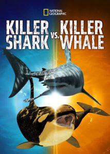 دانلود مستند کوسه قاتل در مقابل نهنگ قاتل Killer Shark vs. Killer Whale 2021