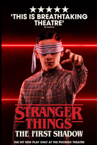 دانلود مستند پشت صحنه: اتفاقات عجیب، اولین سایه Stranger Things: The First Shadow 2025