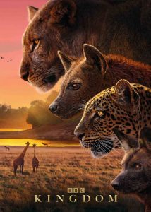 دانلود مستند سریالی پادشاهی Kingdom 2025