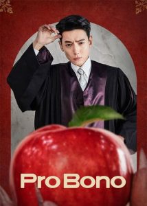 Pro-Bono-2025