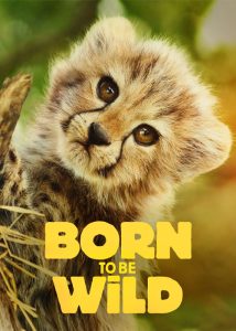 دانلود مستند سریالی متولد حیات وحش Born to be Wild 2025