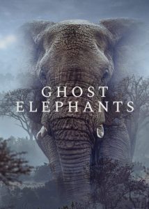 دانلود مستند فیلهای شبح Ghost Elephants 2025