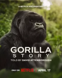 دانلود مستند داستان یک گوریل 2026 A Gorilla Story: Told by David Attenborough