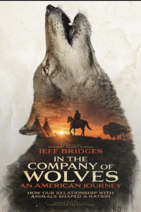 دانلود مستند در کنار گرگ ها: سفری آمریکایی In the Company of Wolves: An American Journey 2026